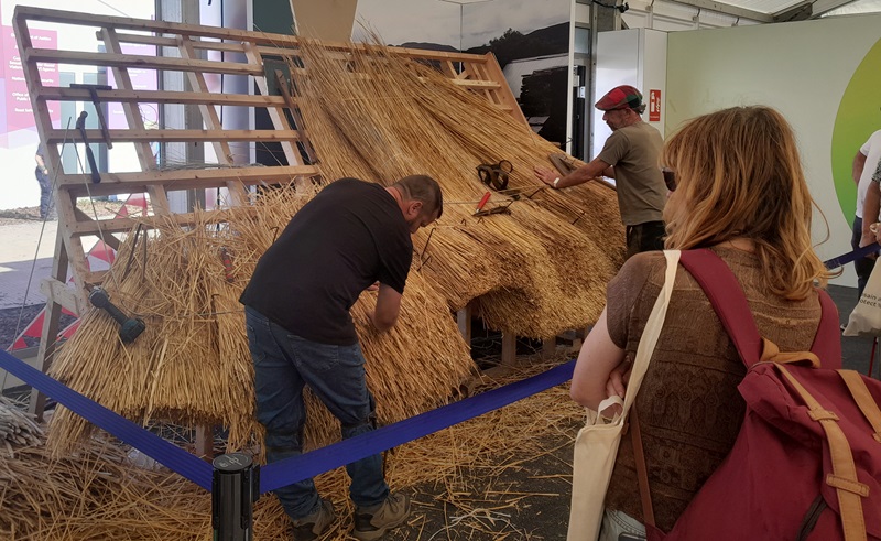 A demonstration of thatching at the Government of Ireland stands